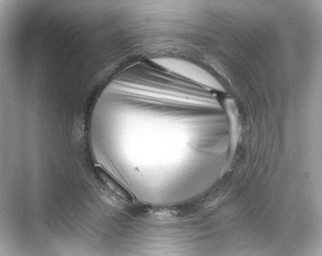 X0000069810407200606091840