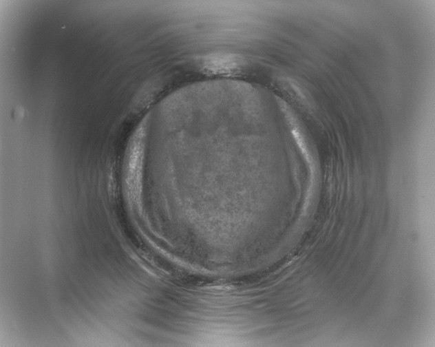 X0000069810408200606091840