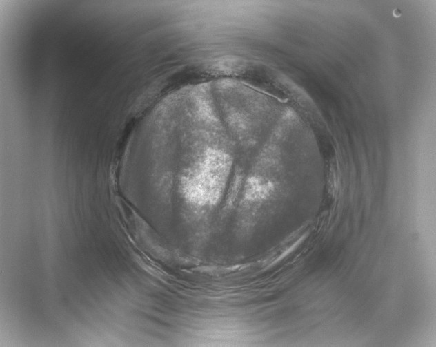 X0000069810409200606091840