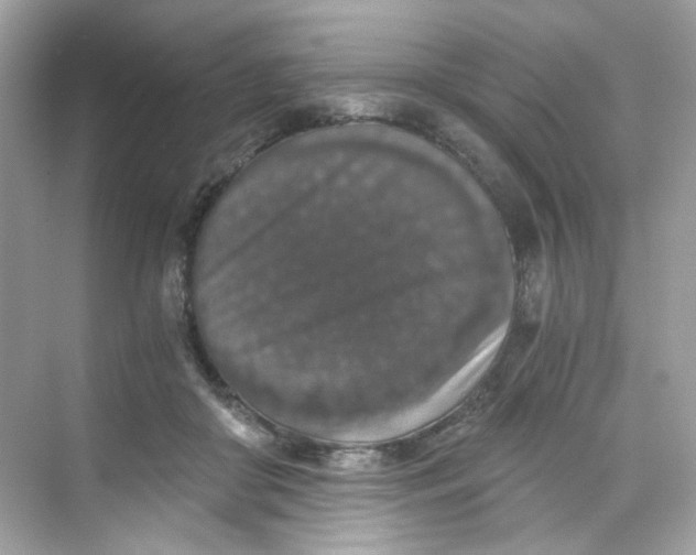 X0000069810410200606091840