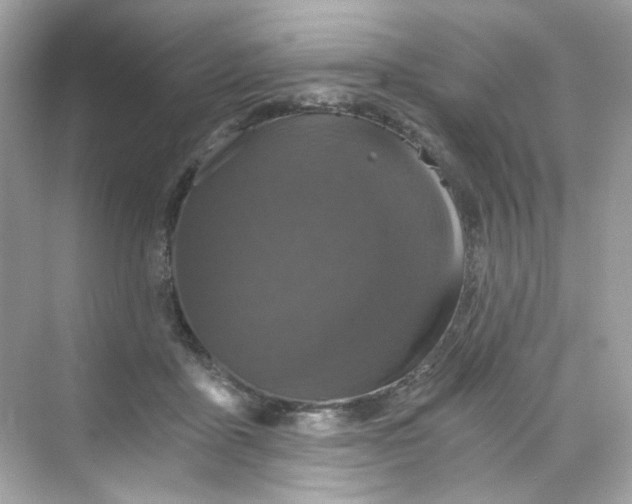 X0000069810411200606091840