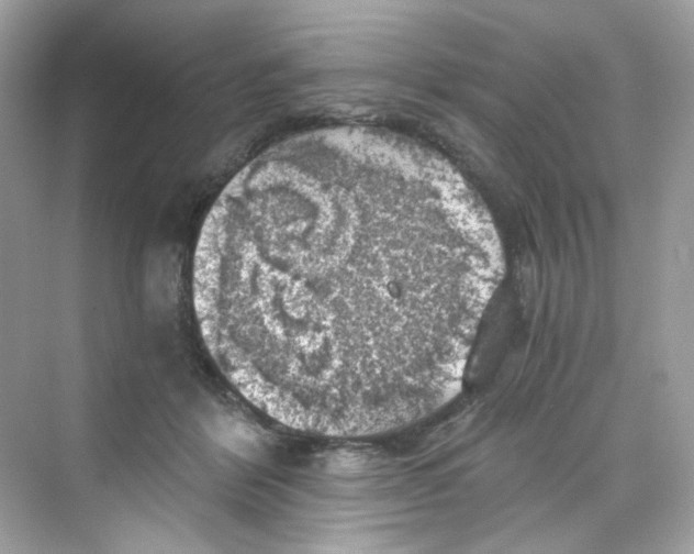 X0000069810412200606091840