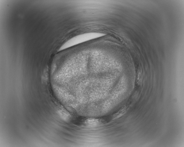 X0000069810413200606091840