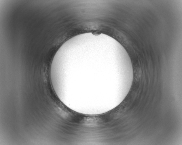 X0000069810414200606091840