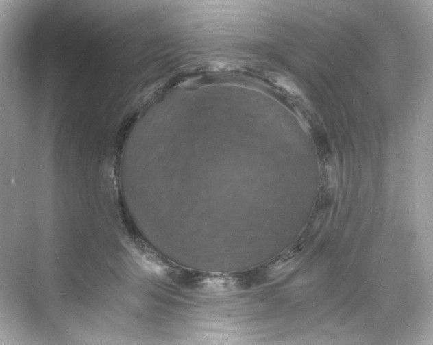 X0000069810415200606091840