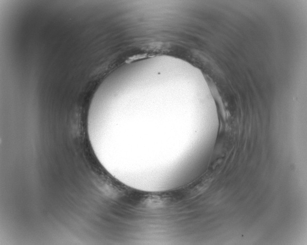 X0000069810416200606091840