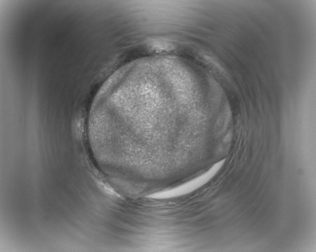 X0000069810417200606091840