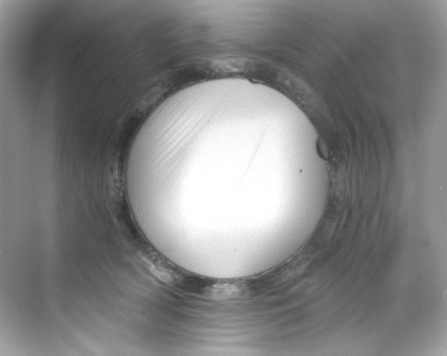 X0000069810418200606091840