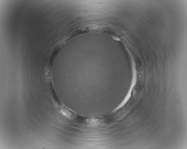 X0000069810419200606091840