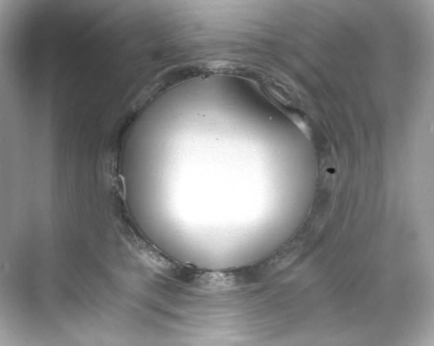 X0000069810421200606091840