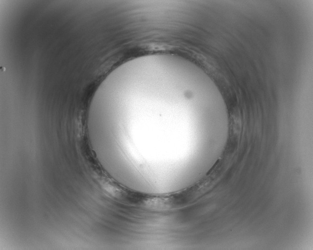 X0000069810422200606091840