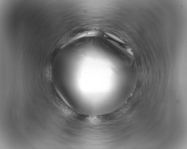 X0000069810425200606091840