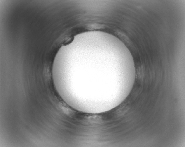 X0000069810426200606091840