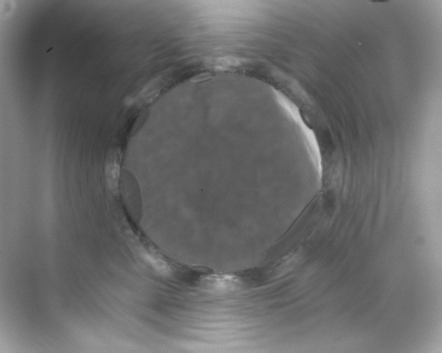 X0000069810427200606091840