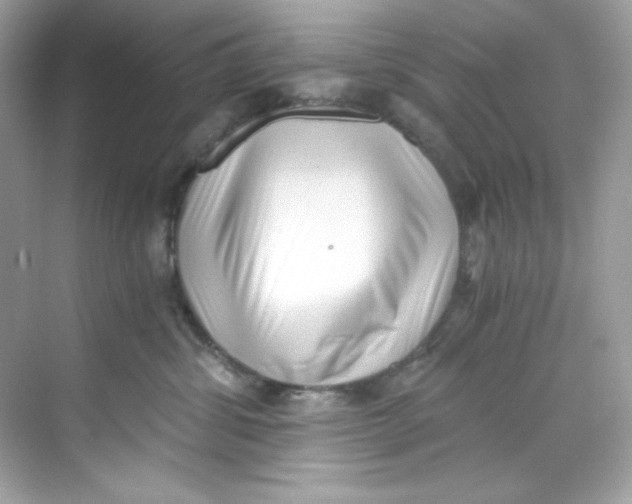 X0000069810428200606091840