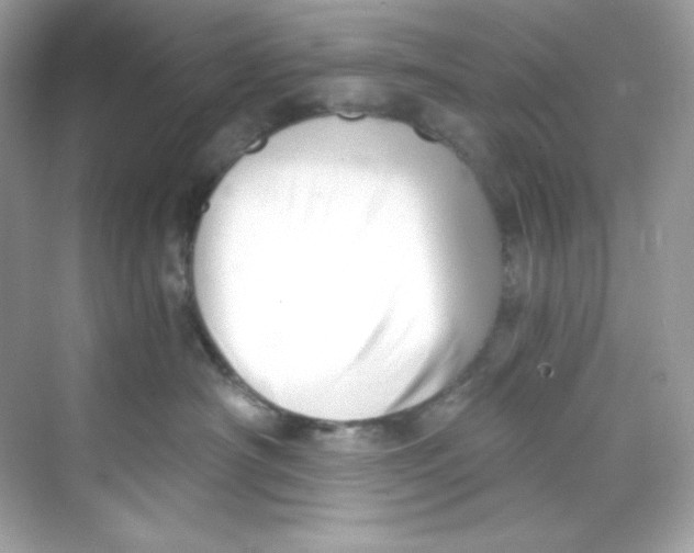 X0000069810430200606091840