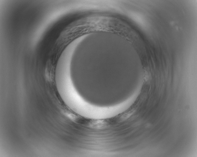 X0000069810431200606091840