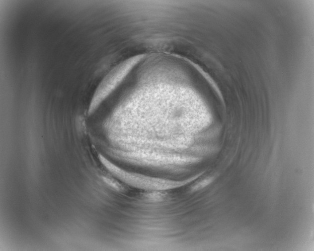 X0000069810432200606091840