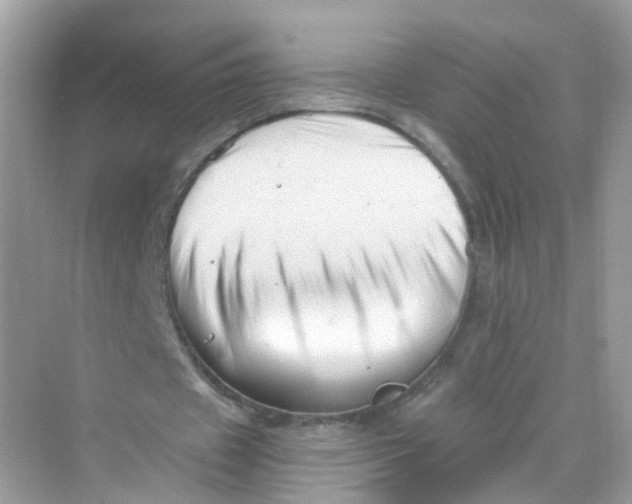 X0000069810433200606091839