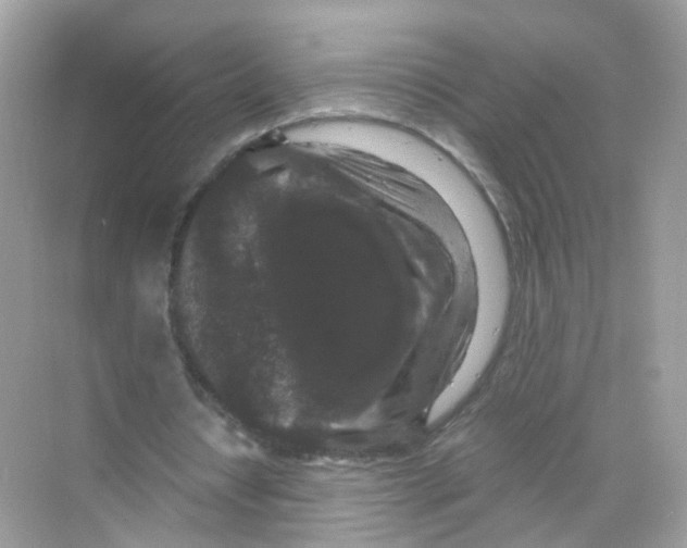 X0000069810434200606091839