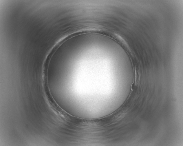 X0000069810435200606091839