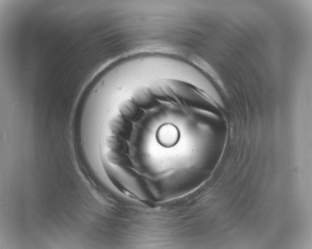 X0000069810436200606091839