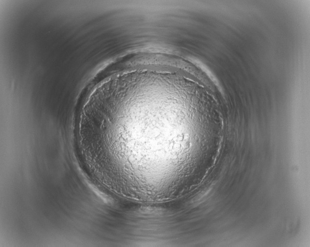 X0000069810437200606091839