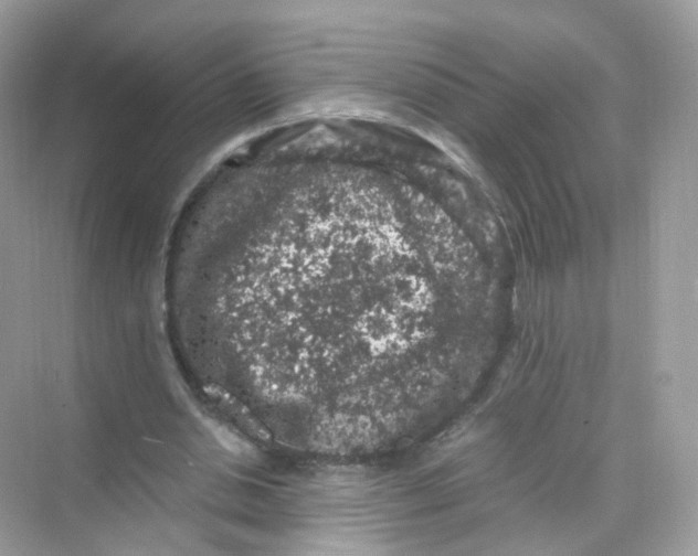 X0000069810438200606091839