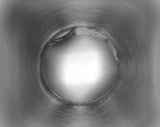 X0000069810440200606091839