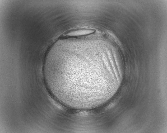 X0000069810441200606091839