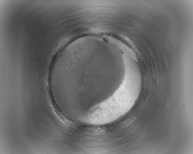 X0000069810443200606091839