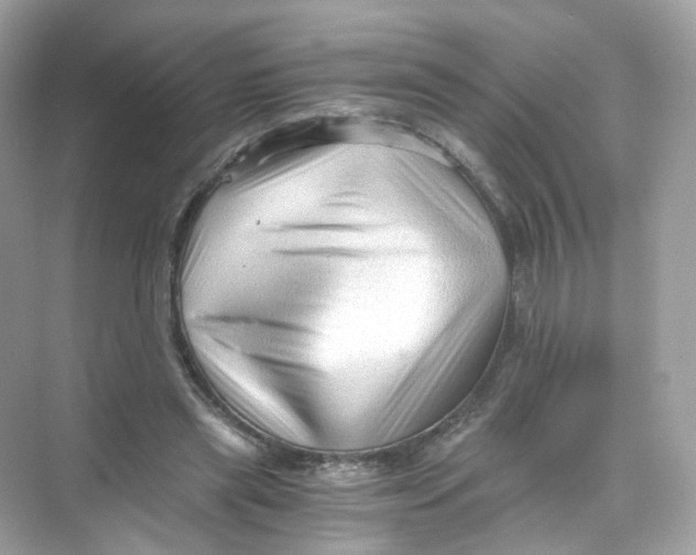 X0000069810445200606091839