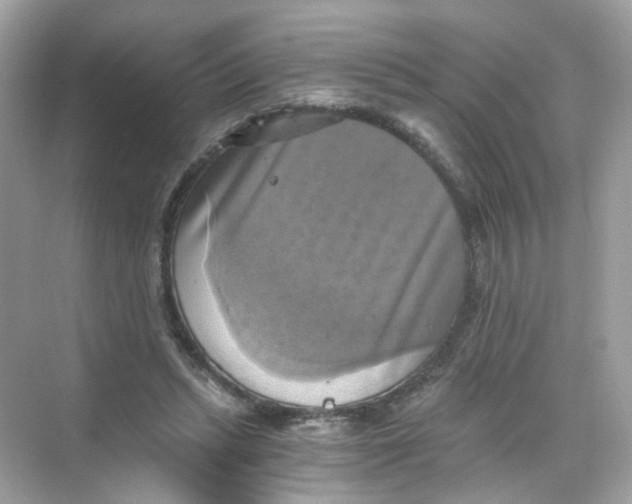 X0000069810447200606091839