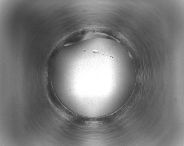 X0000069810448200606091839