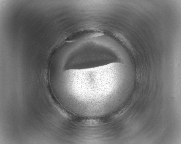 X0000069810449200606091839