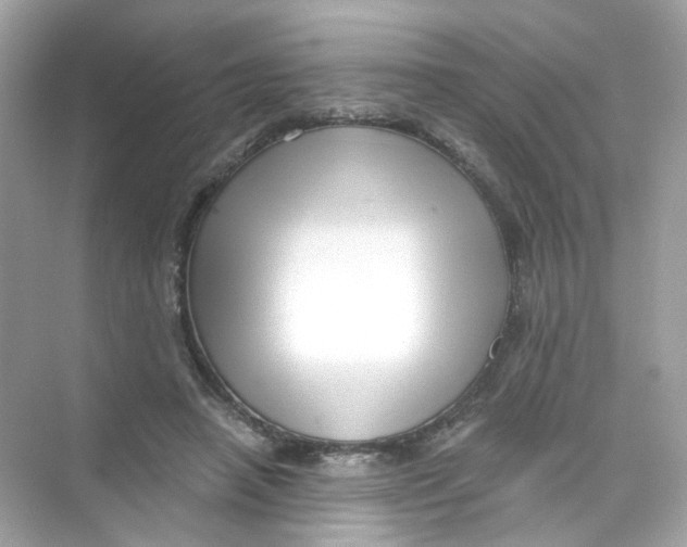 X0000069810450200606091839