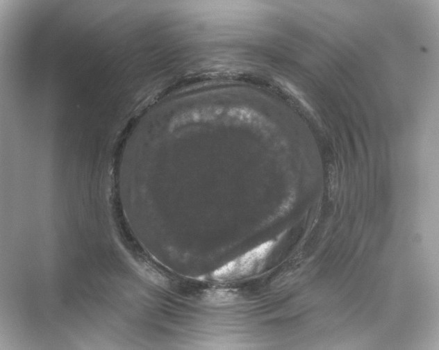 X0000069810451200606091839