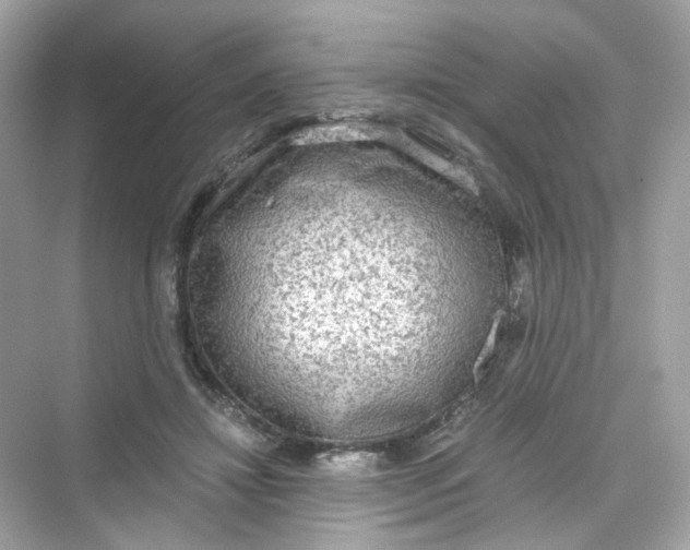 X0000069810452200606091839