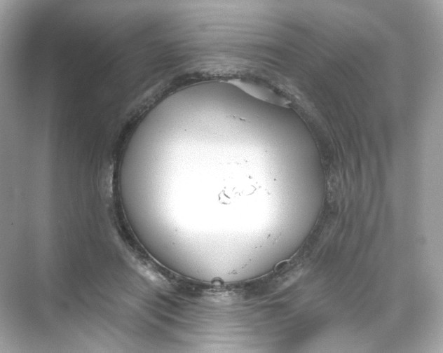 X0000069810454200606091839