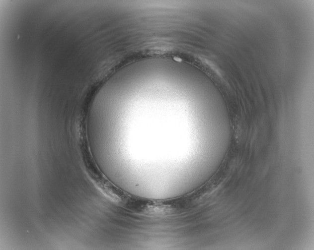 X0000069810455200606091839