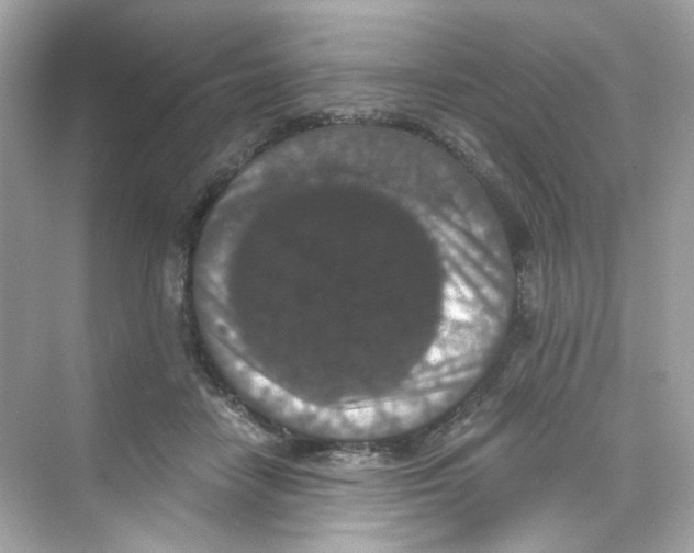 X0000069810458200606091839