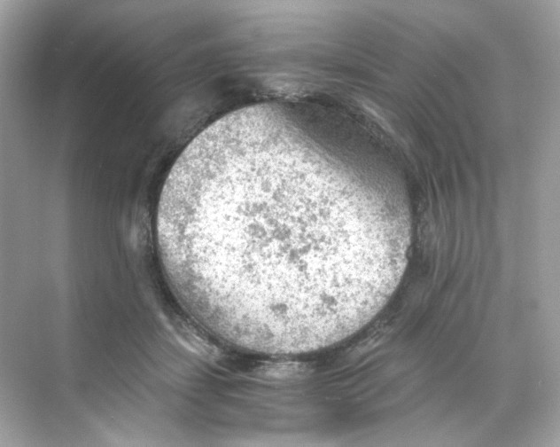 X0000069810459200606091839