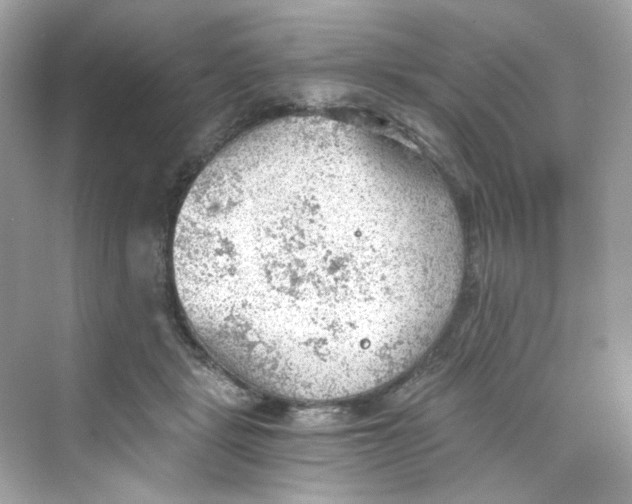 X0000069810461200606091839