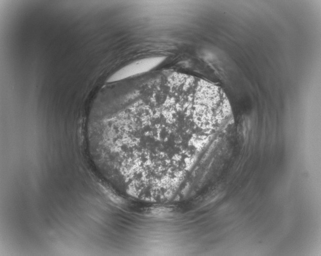 X0000069810462200606091839