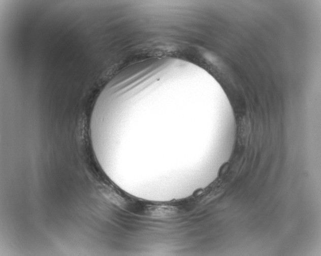 X0000069810463200606091839