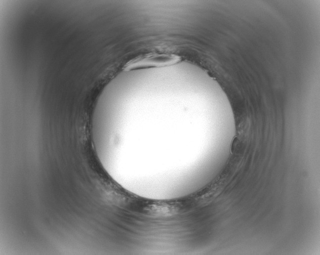 X0000069810464200606091839