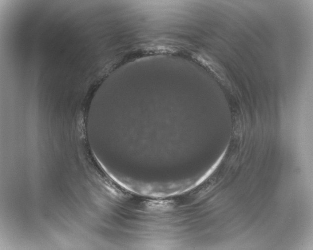 X0000069810465200606091839