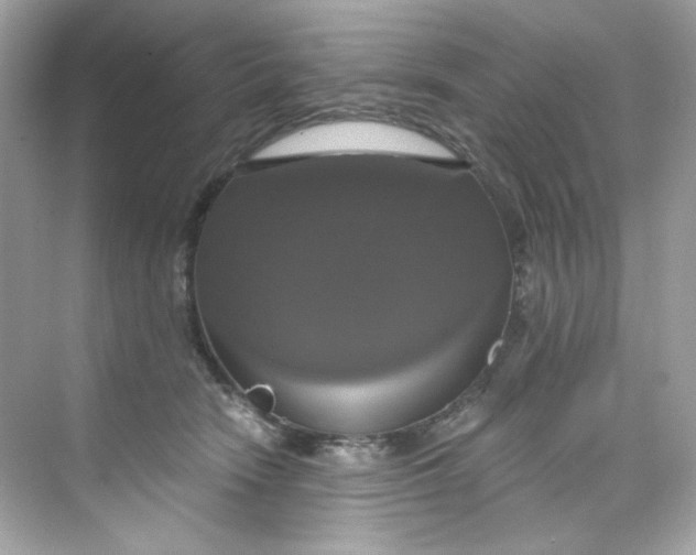 X0000069810466200606091839