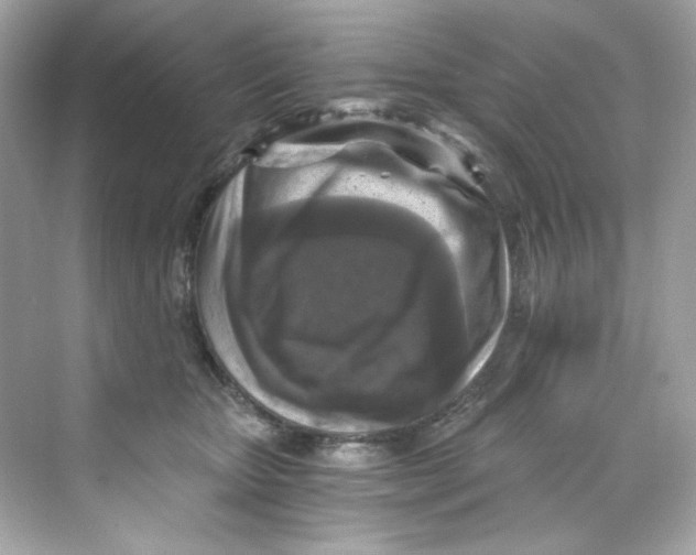 X0000069810467200606091839