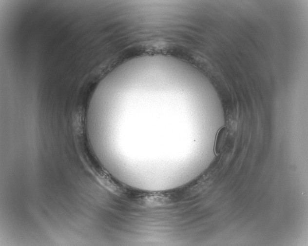 X0000069810468200606091839